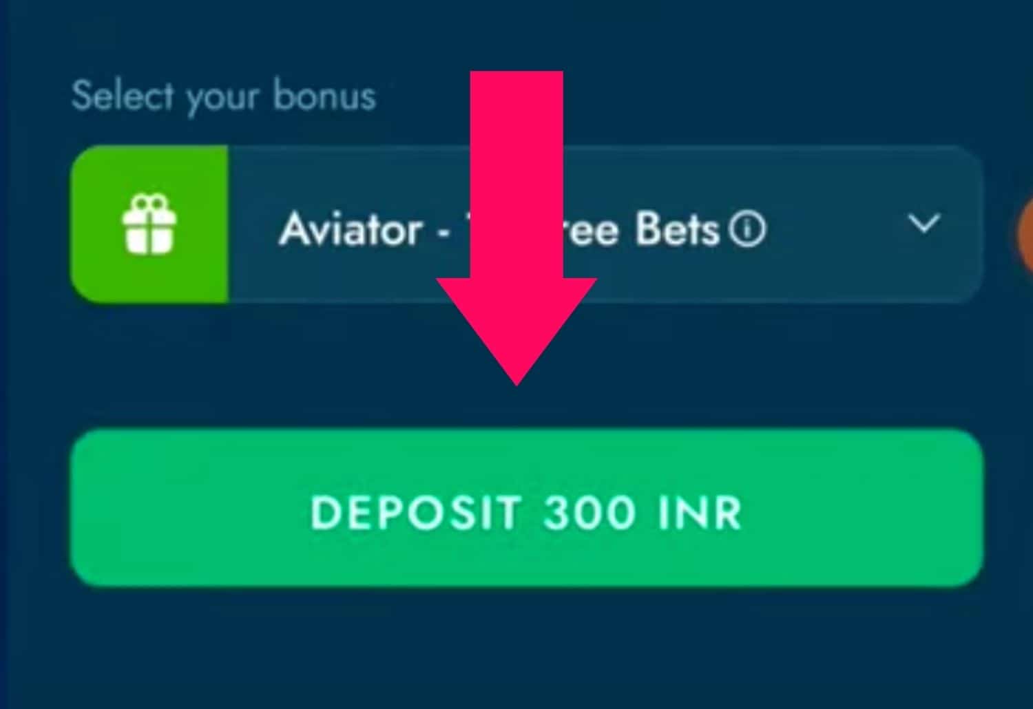 Bluechip Casino India deposit button